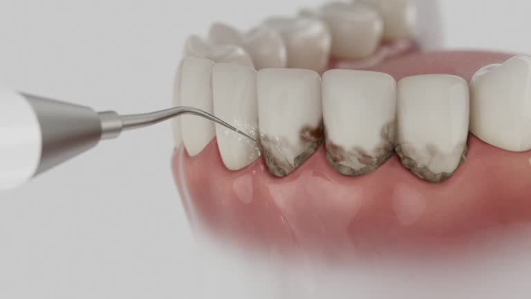 Reliable Dental contractor in Portsmouth, OH by Dentist Open Now